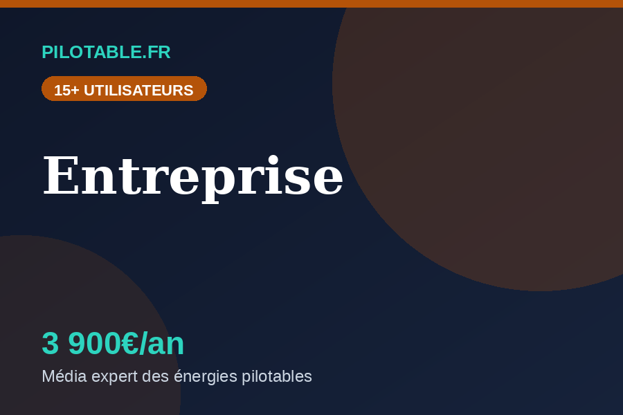 Offre Entreprise 3900 euros par an - Pilotable.fr