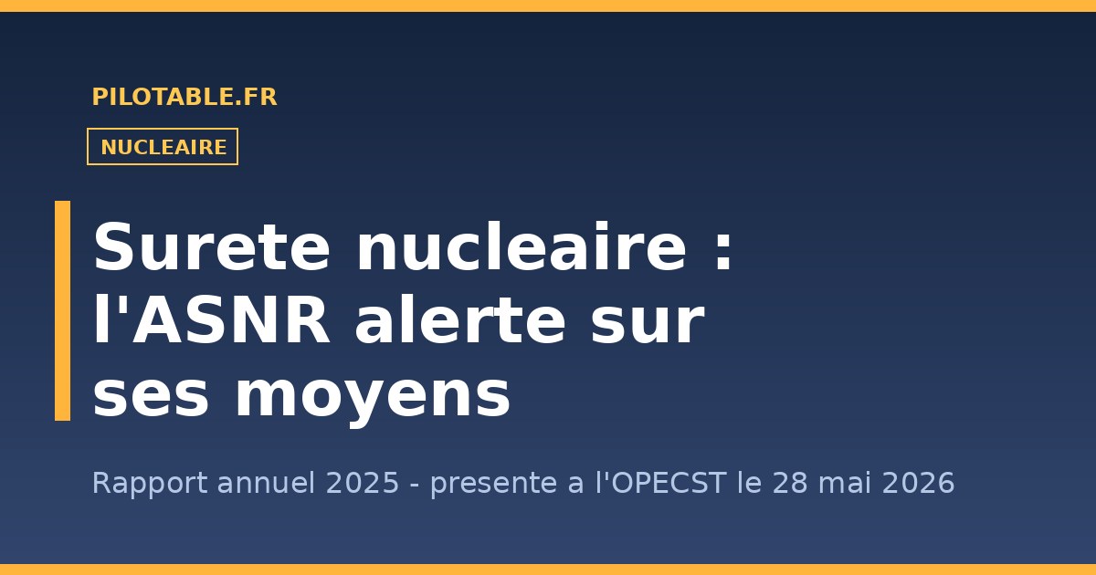 ASNR rapport 2025 alerte sur ses moyens